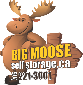 Big Moose 